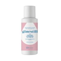GINESTILL DETERGENTE LIQ 250ML