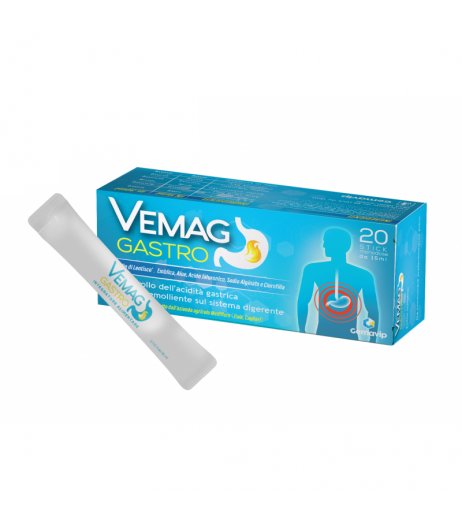 VEMAG GASTRO 20STICK