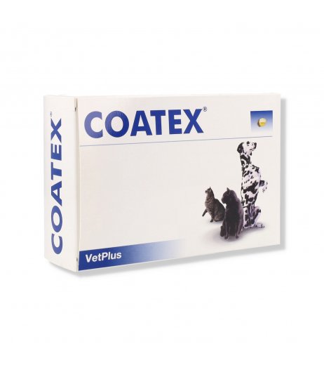 COATEX 60CPS