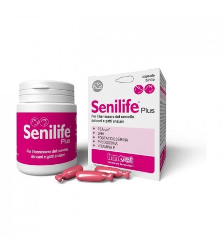 SENILIFE PLUS 30CPS