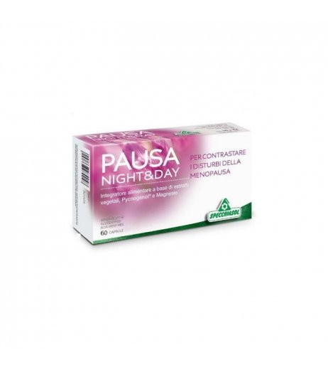 PAUSA NIGHT&DAY 60CPS
