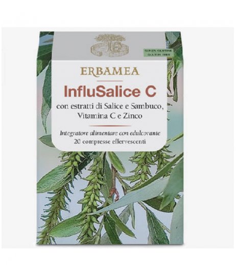INFLUSALICE C 20CPR