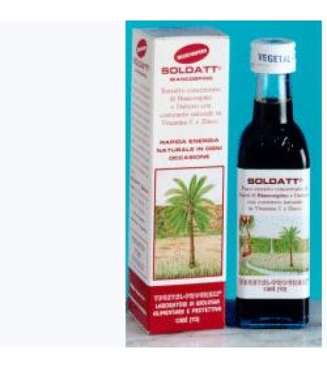 SOLDATT BIANCOSPINO 100ML SOLDATT BIANCOSPINO 100ML