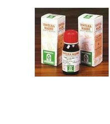 CASTANO INDIA 52 50ML TM SPECCH