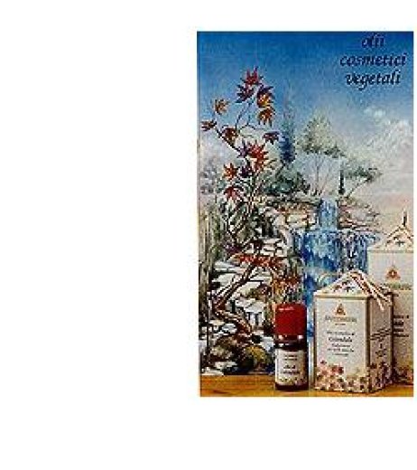 CAROTA OLIO COSMETICO 100ML SP
