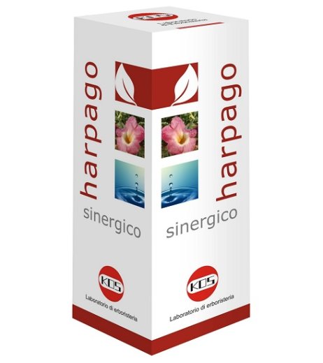 HARPAGO SINERGICO GTT 100ML