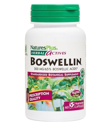 HERBAL ACTIVES INCENSO 60C LA
