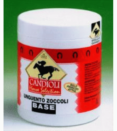 UNGUENTO ZOCCOLI ORIG BAR 750