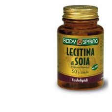 BS LECITINA SOJA 100 TAV