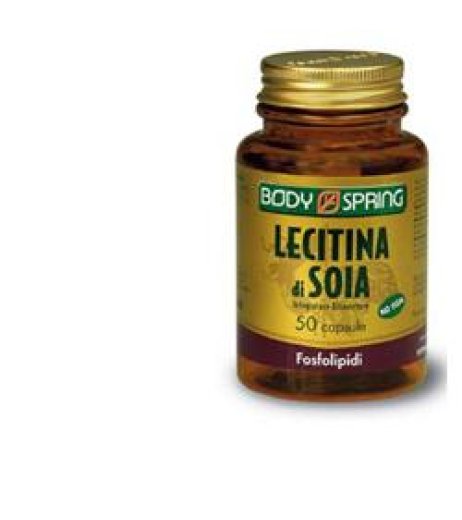 BS LECITINA SOJA 100 TAV