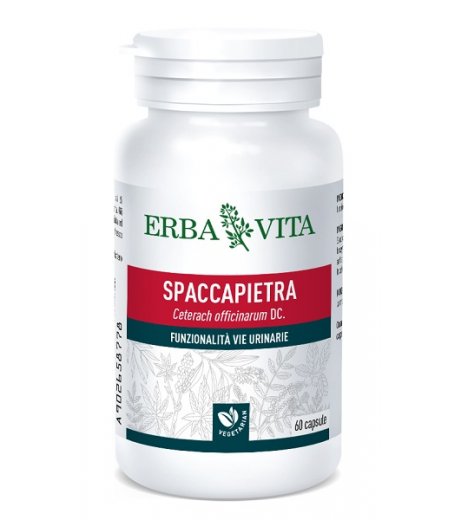 SPACCAPIETRA 60CPS 300MG