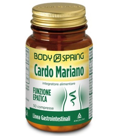 BS CARDO MARIANO 50TAV 25G BSP