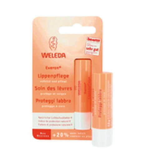 EVERON PROTEGGI LAB STICK 4,8G