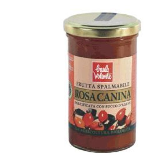BAULE Frutta Spalm.Rosa Canina