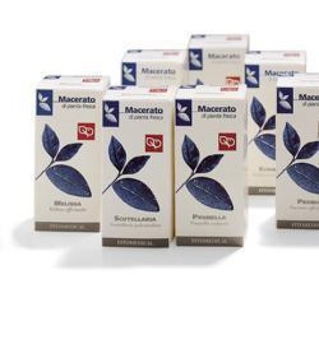 GINKGO BILOBA 50ML TM FTM