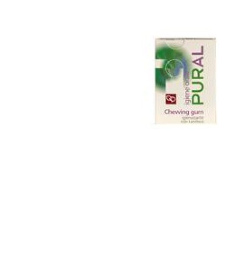 PURAL CHEWING GUM IG 14G FTM