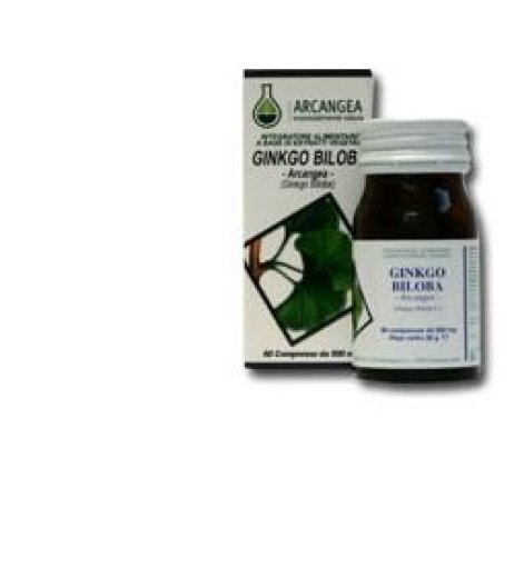 GINKGO BILOBA 60CPS 500MG