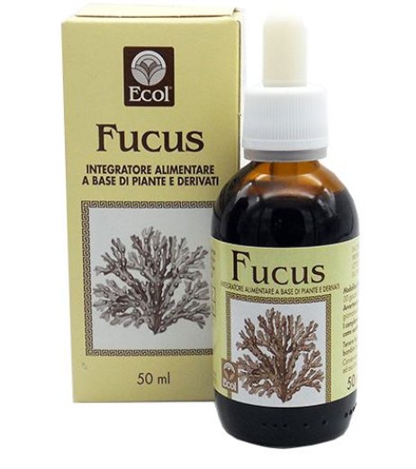 FUCUS ESTR ANALCO 50ML 796