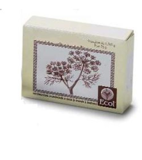 MIRTILLO 50TAV MIRTILLO 50TAV