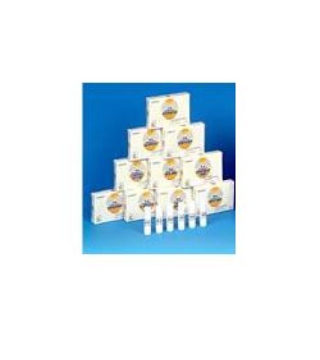 NA.NOMABIT MUSTARD GL 6G