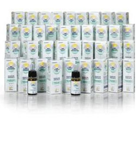 NA.NOMABIT WATER VIOLET GTT 10