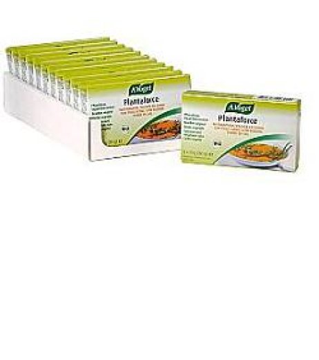 PLANTAFORCE DADO S/SALE 8X9,5G