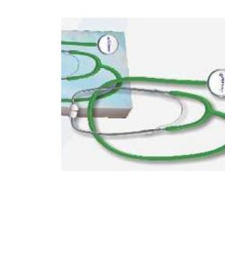 FONENDOSCOPIO PIATTO VERDE PBPH FONENDOSCOPIO PIATTO VERDE PBPH
