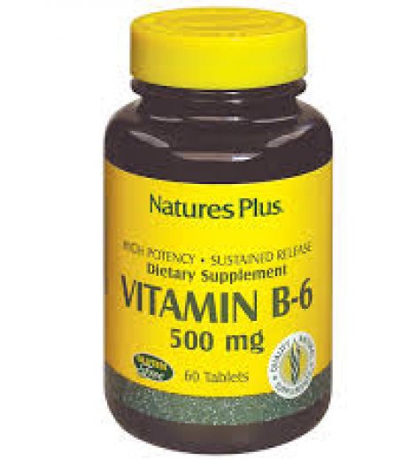 VITAMINA B6 PIRIDOSS 500