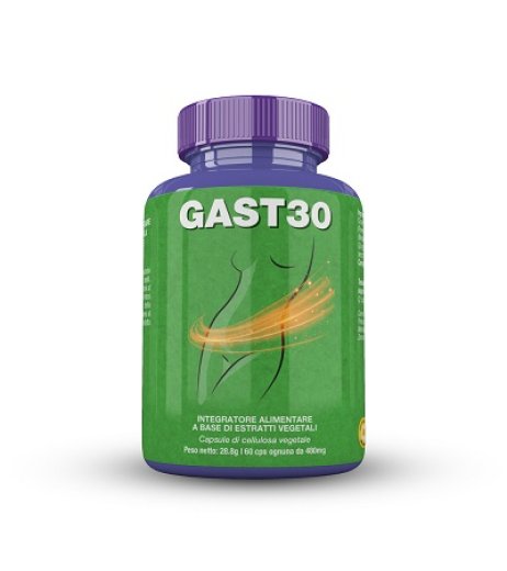 GAST 30 60CPS SALUS GAST 30 60CPS SALUS