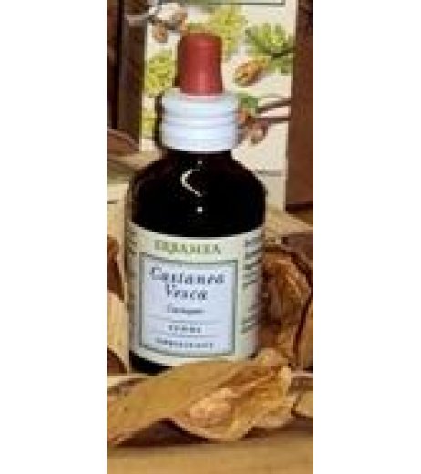 CASTANEA VESCA GEMME GEMMODER