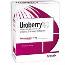 UROBERRY 40 INTEG 10BUST