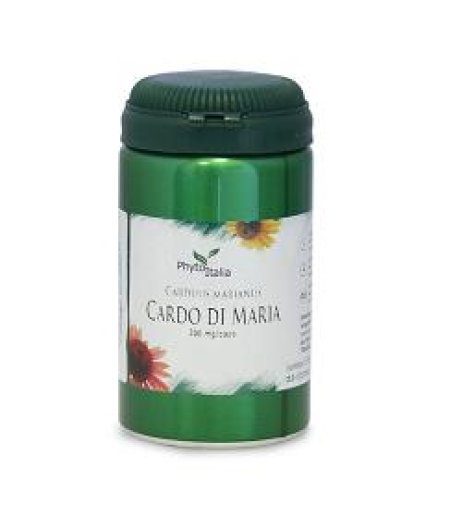 CARDO MARIANO 60CPS CARDO MARIANO 60CPS