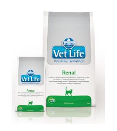 VET LIFE CAT RENAL 400 GR