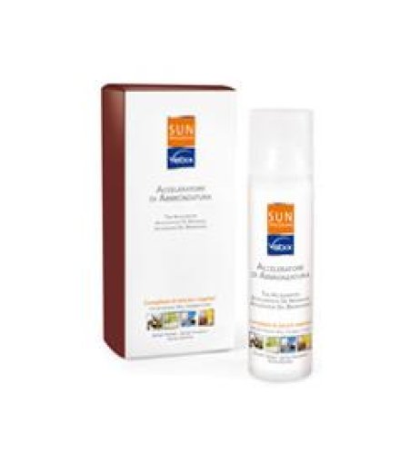 VEBIX SUN PROGRAM ACCEL ABBR