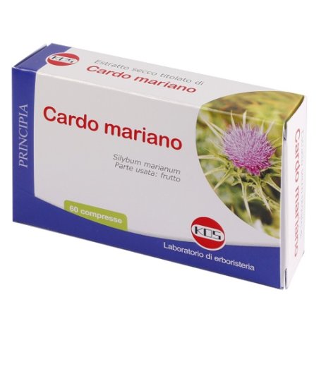 CARDO MARIANO ESTR SEC 60CPR