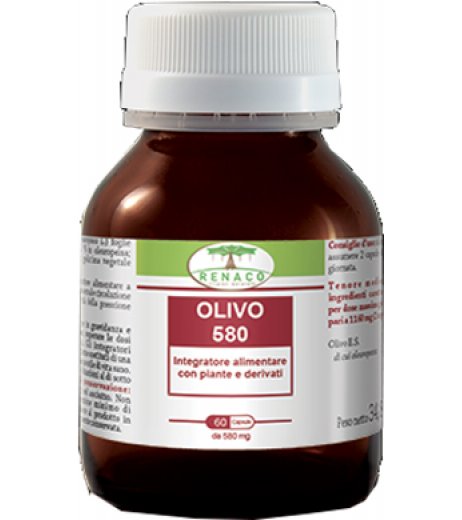 OLIVO 580 60CPS