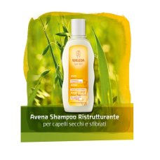 AVENA SHAMPOO 190ML WE