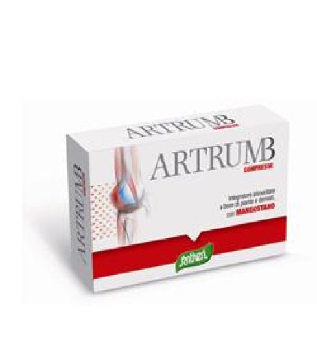 ARTRUM B C/MANGOST 48CPR 31G