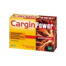 CARGIN POWER 12BUST