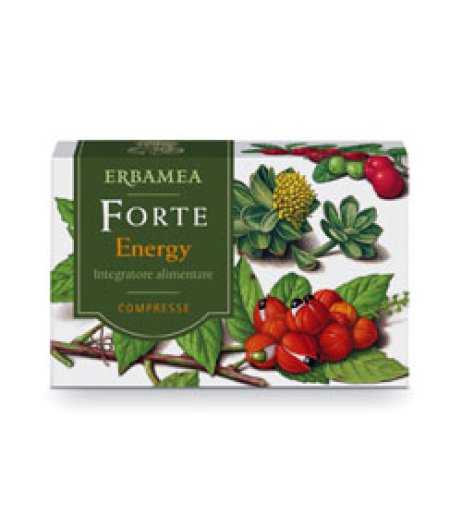 FORTE ENERGY 24CPR