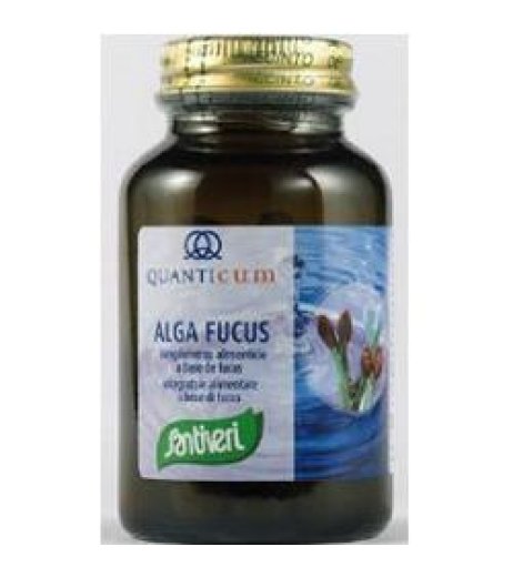 ALGA FUCUS 113CPR