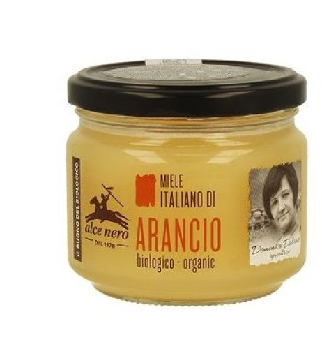 MIELE ARANCIO ITALIANO BIO300G MIELE ARANCIO ITALIANO BIO300G