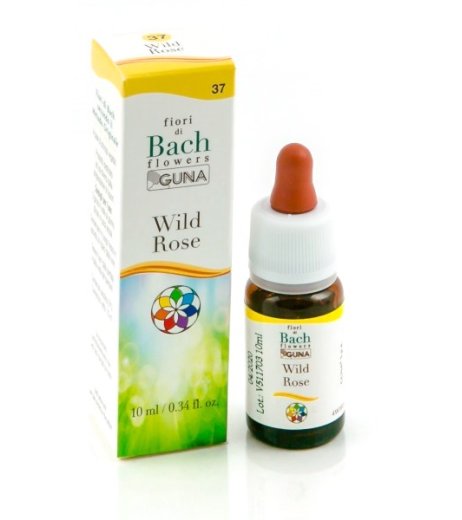 WILD ROSE GUN GTT 10ML