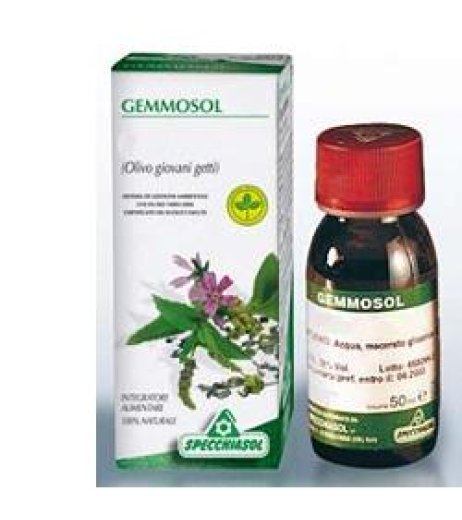 GEMMOSOL 3 IPPOCASTANO 50ML