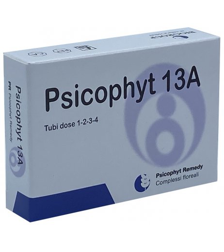 PSICOPHYT REMEDY 13A 4TUB 1,2G