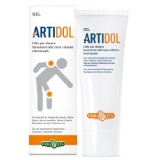 ARTIDOL GEL 100ML