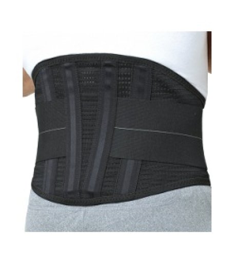 GIBAUD ORTHO LOMBOGIB WORK CI2 GIBAUD ORTHO LOMBOGIB WORK CI2