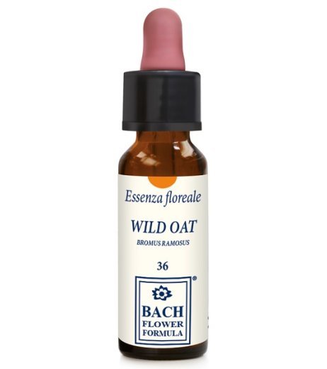 WILD OAT ORIGINAL 10ML GTT WILD OAT ORIGINAL 10ML GTT