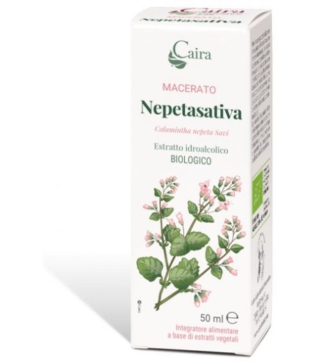 NEPETASATIVA MACERATO CAIRA