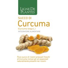 CURCUMA BIO SUCCO 250ML